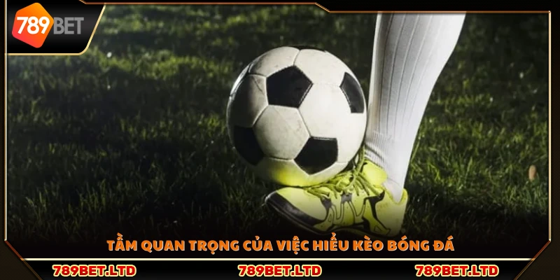 Vì sao cần nắm rõ kèo bóng đá trước khi đặt cược? 
