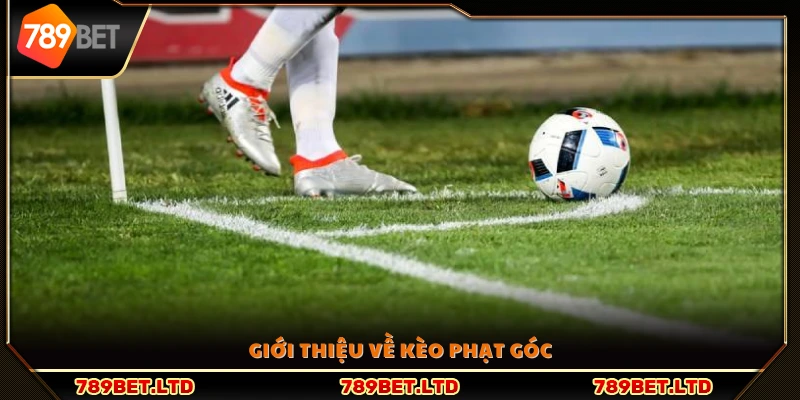 Tổng quan về kèo cược phạt góc thường gặp