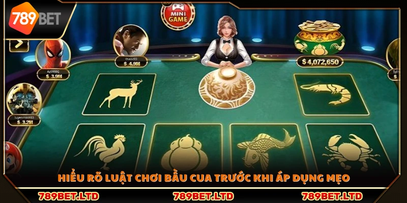 Nắm vững luật chơi trước khi vận dụng chiến thuật