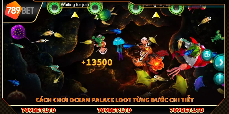 Hướng dẫn chi tiết từng bước chơi Ocean Palace Loot