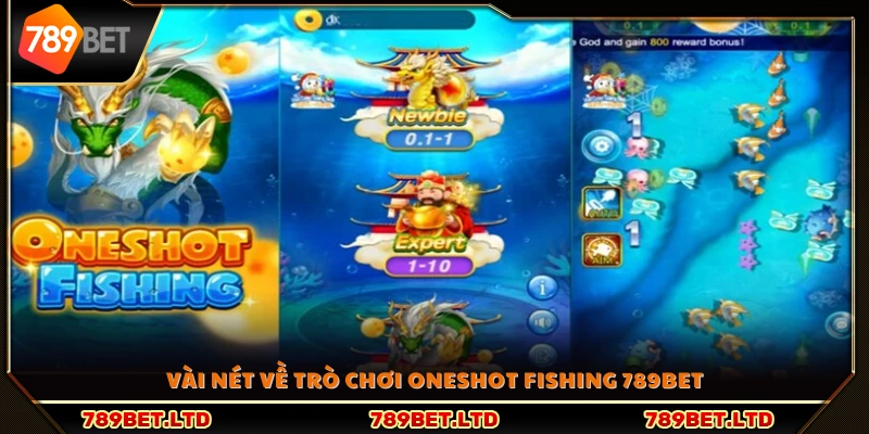 Tổng quan sơ lược về Oneshot Fishing 789Bet 