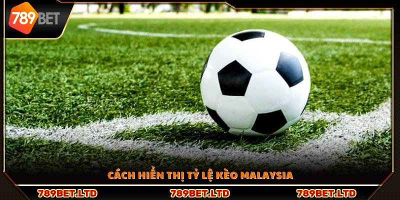 Hình thức thể hiện tỷ lệ kèo Malaysia trên bảng cược