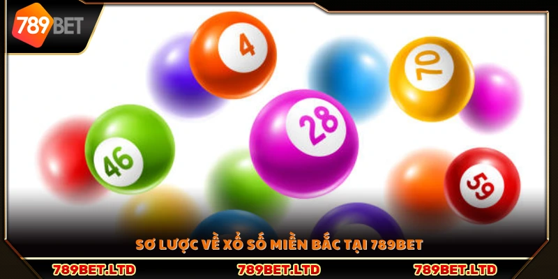 Khám phá loại hình xổ số miền Bắc tại 789 Bet